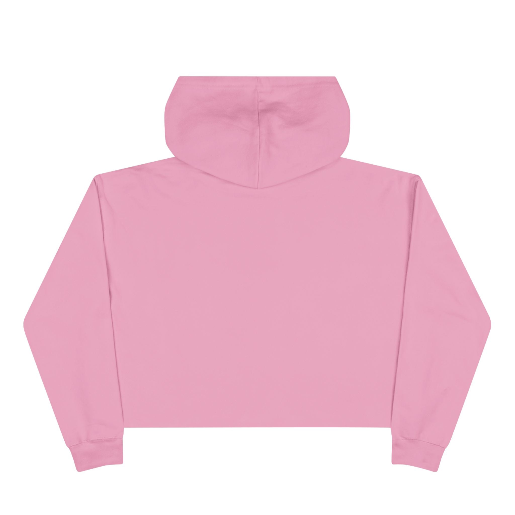 Professional Menace Crop Hoodie